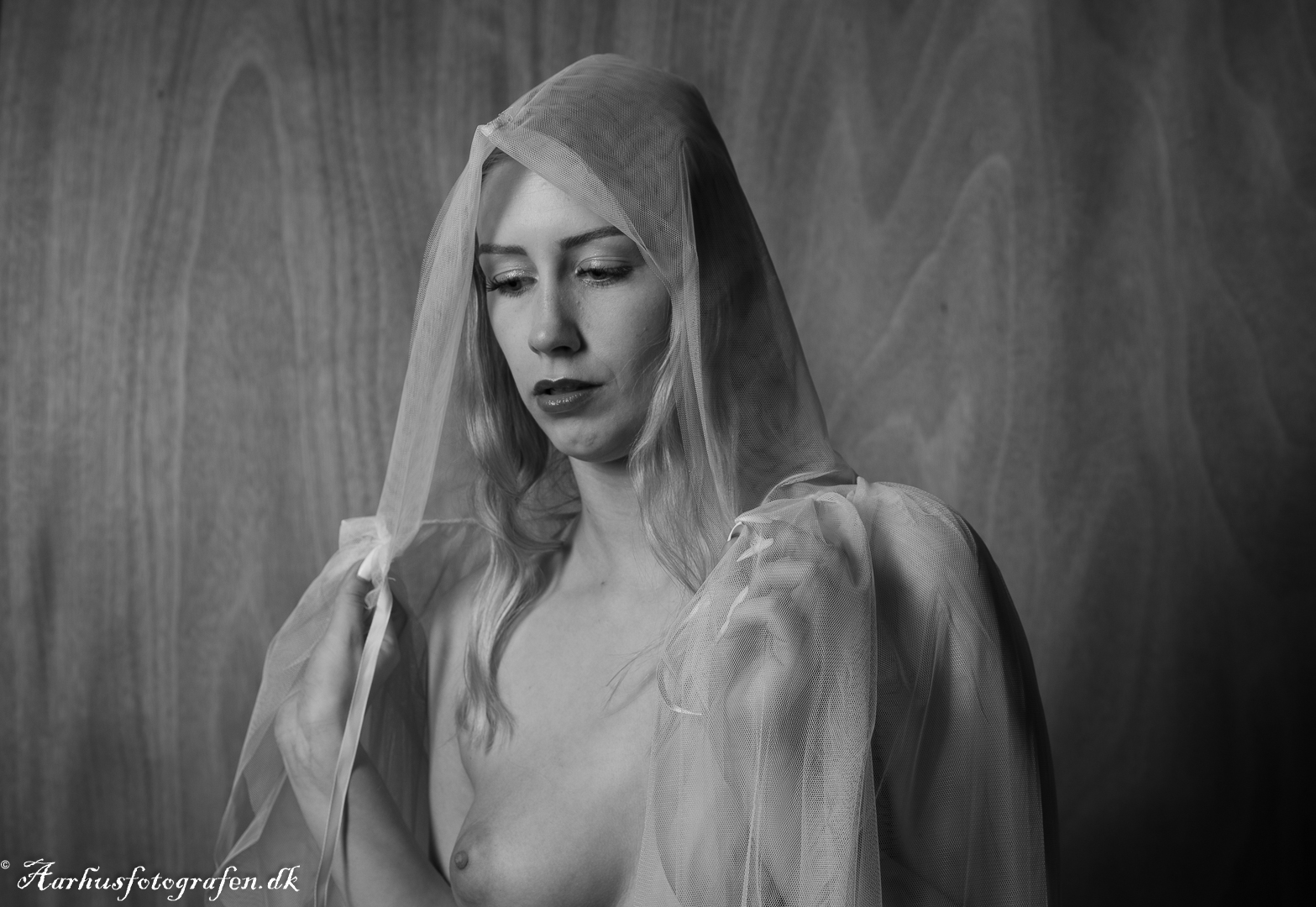 web-FD2_9831