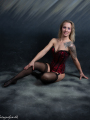 web_FDS_2480