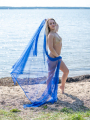 web_FDS_3566