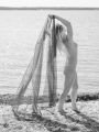 web_FDS_3594