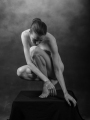 web_FD6_7836