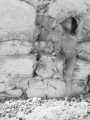 web_FD8_2668