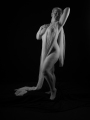 FD1_9575