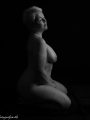 web_FD1_9517