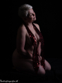 web_FD1_9530