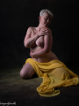 web_FD1_9845
