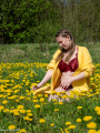 web_FD1_2006