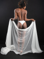 web_FD6_8481_