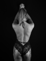 web_revFD8_5623