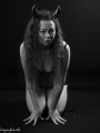 Web-FD2_5677