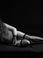 Web-FD2_5704