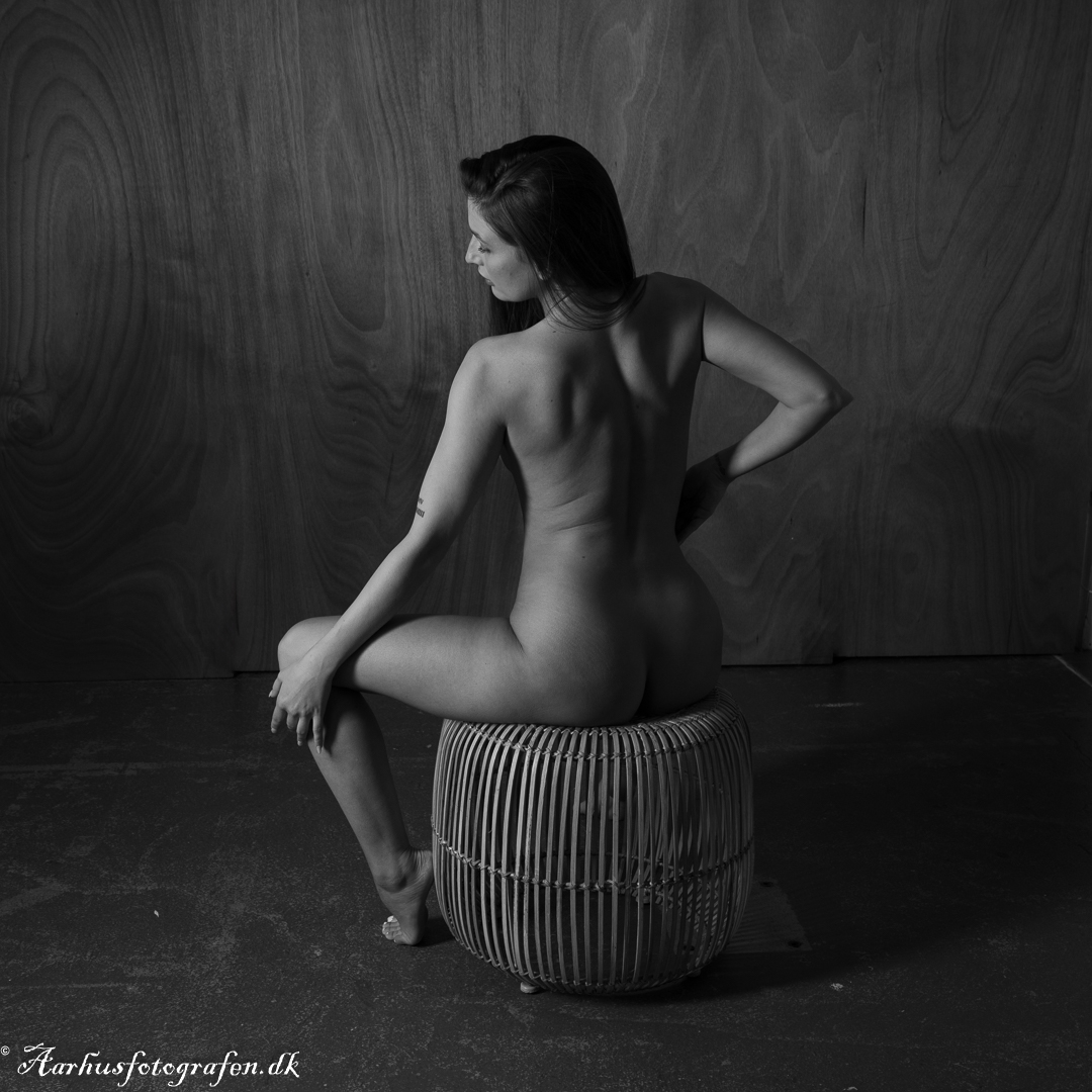 2026-web-FD2_8910